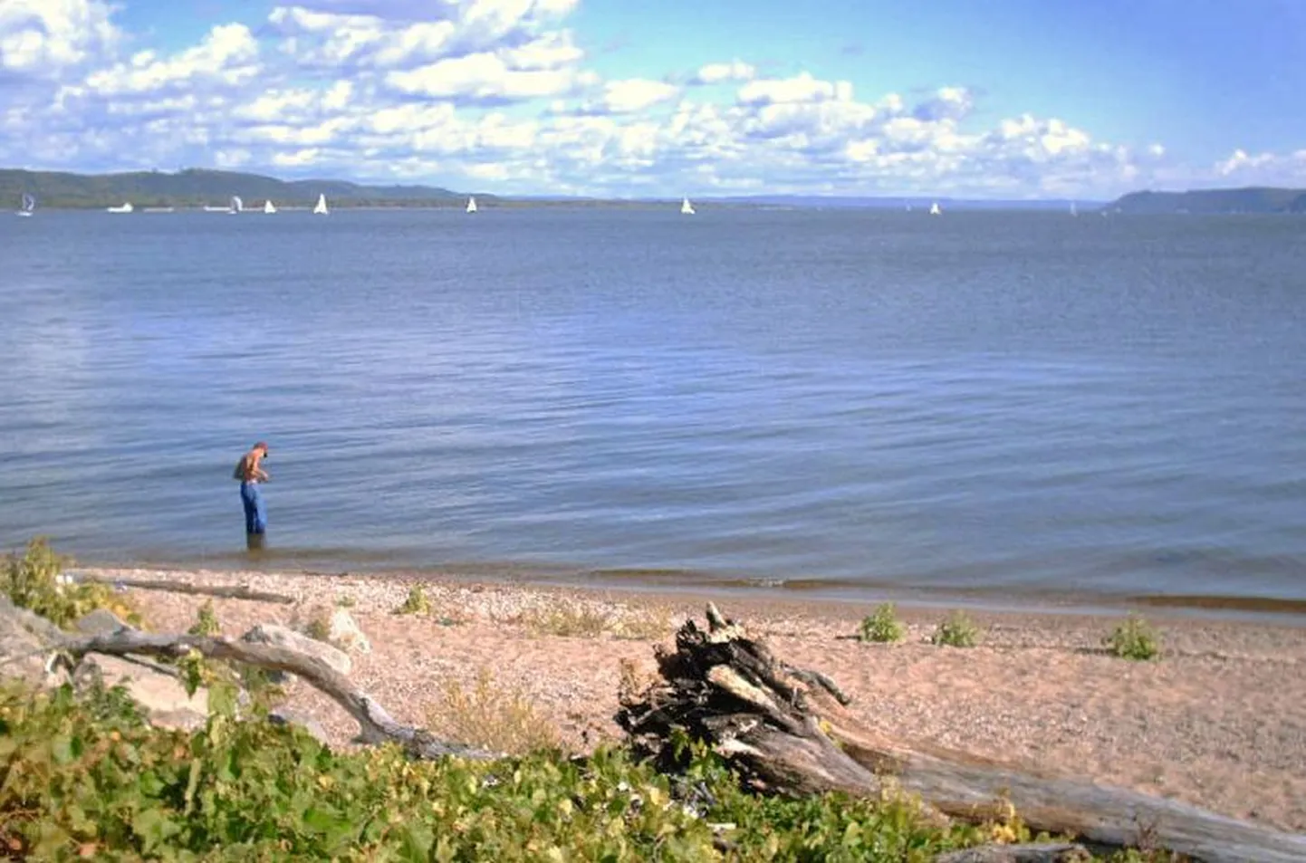 Pepini järv, kus arvatakse  koletis elavat