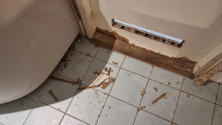 Jänes Liisu hävitustöö