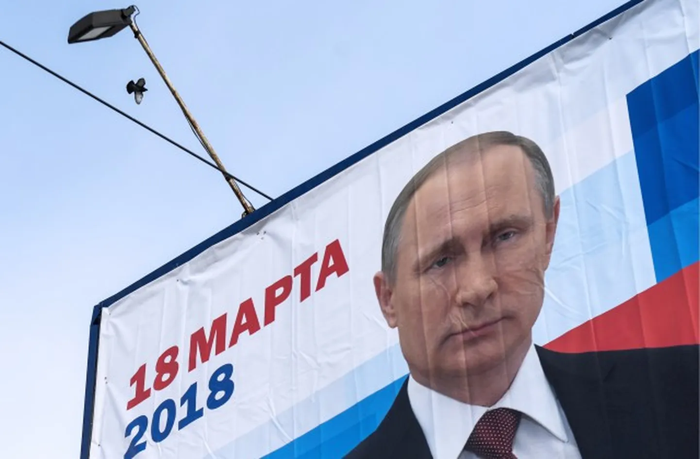 Фото статьи