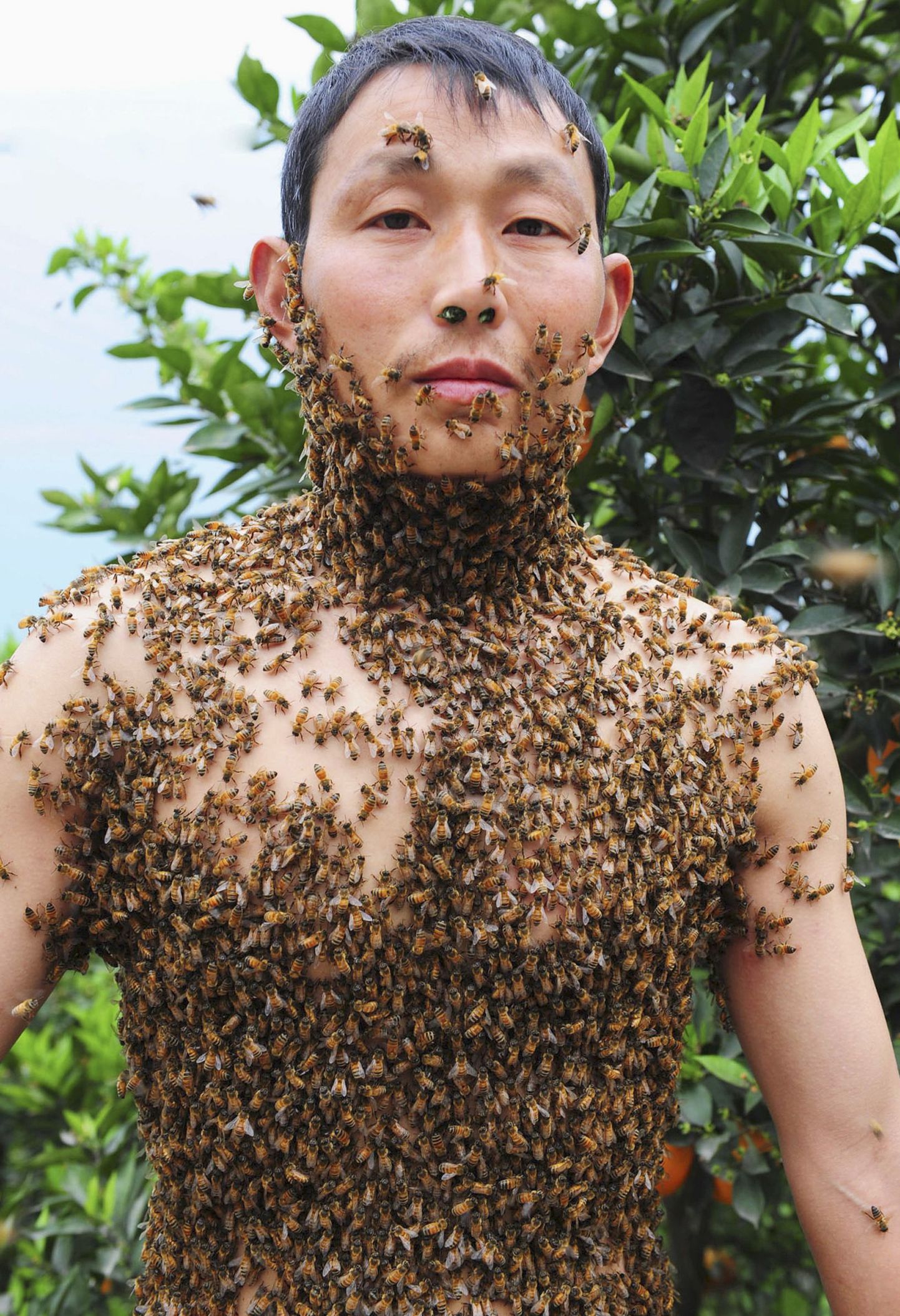 Hiina paari pulmarõivaks olid mesilased