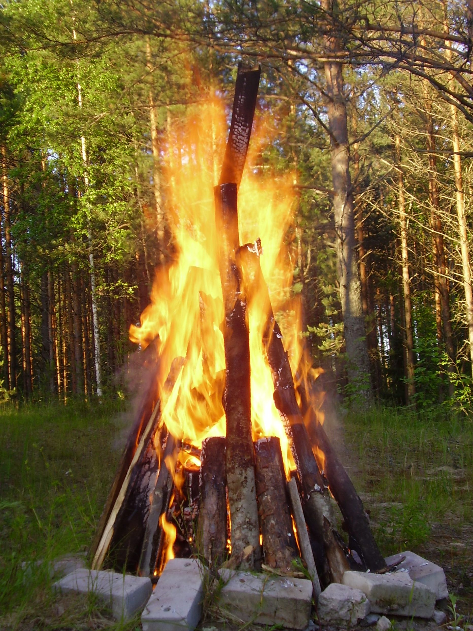 Спасательный департамент уточнил правила разведения костров в Иванову ночь