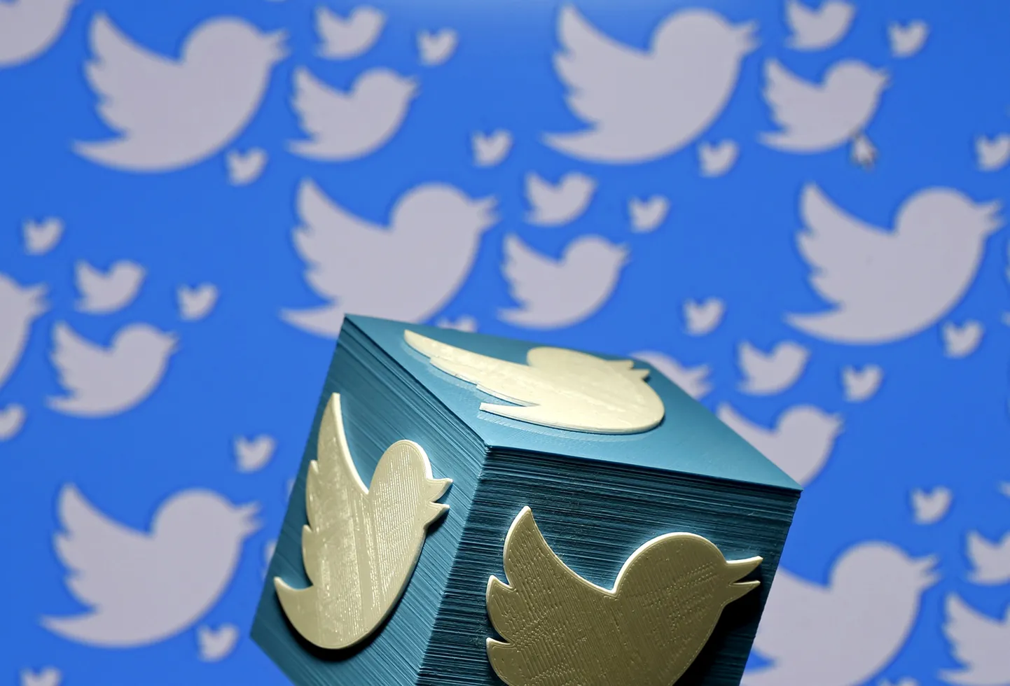 Twitter.