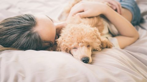 Kutsikajärgse depressiooni küüsis naine: «Nutsin peaaegu iga päev, sest tundsin, et pole piisavalt hea koeraomanik»
