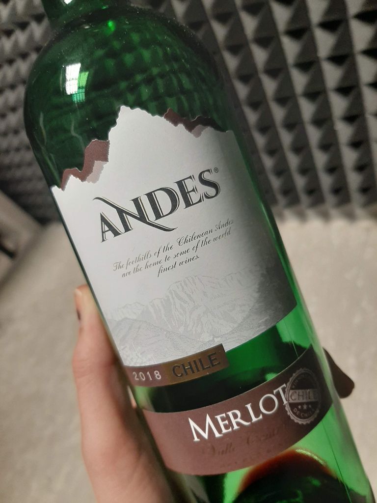 Päevapokaal 4: Lõuna-Ameerika pudelis - Andes Merlot