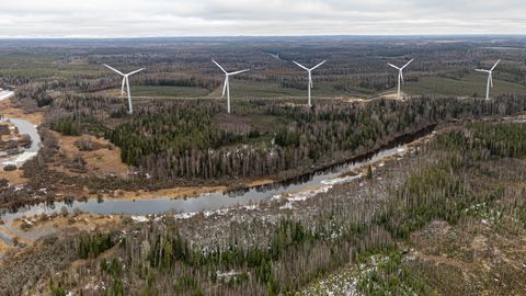UNIKÜLA KOGUKONNA SELTS ⟩ Valga valla tuulepargi projekt tõi esile kliimapoliitika CO2-keskse tunnelnägemise