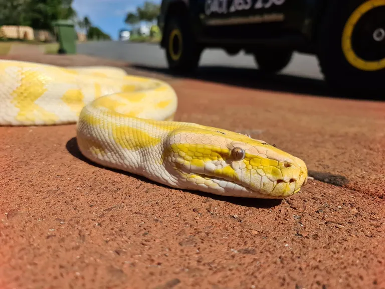 Raksta foto