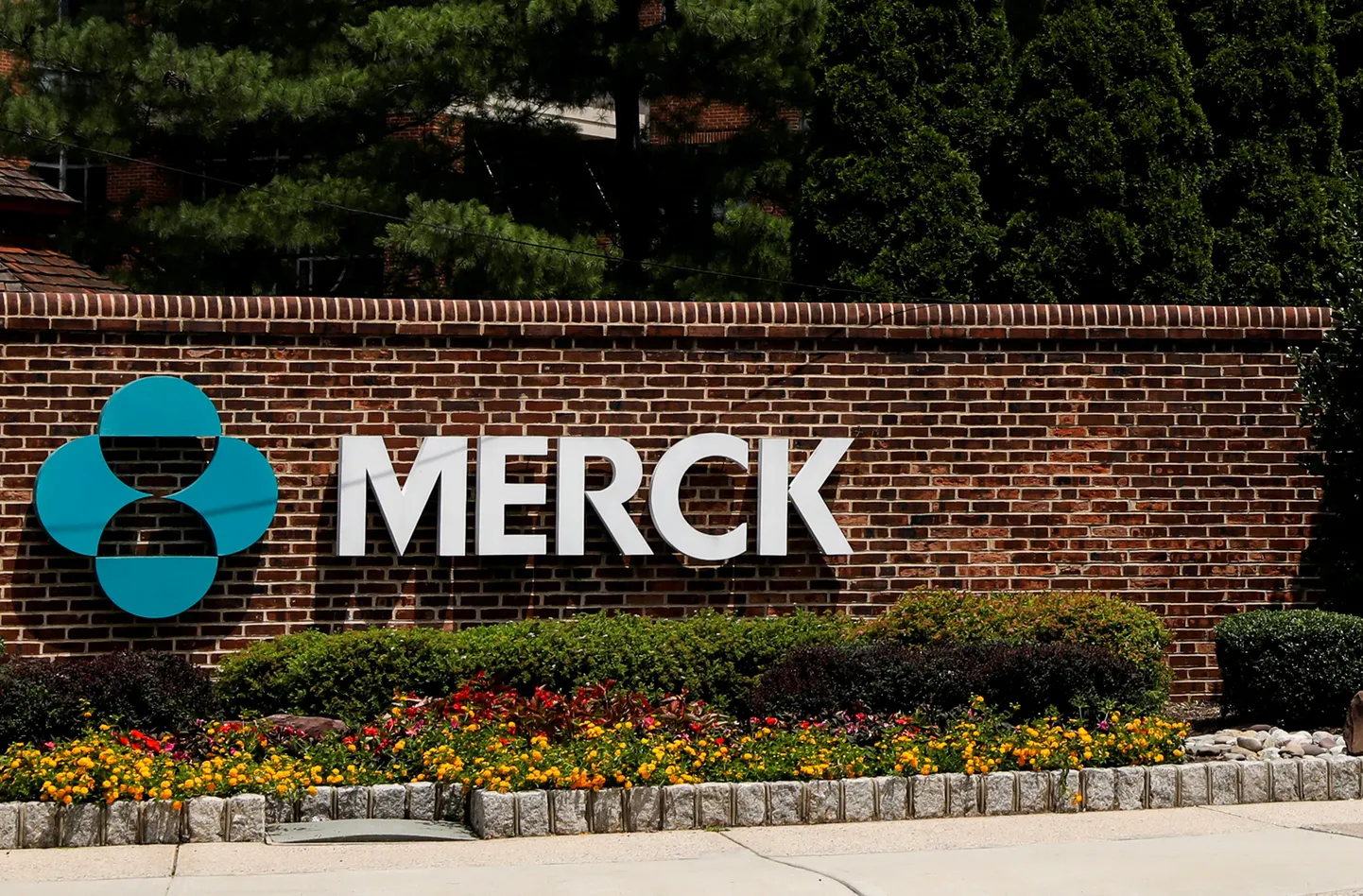 Ravimifirma Merck logo.
