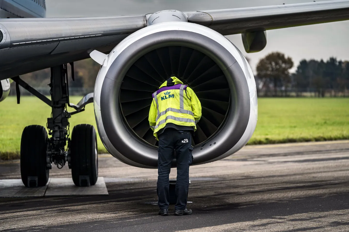 Работник компании KLM.
