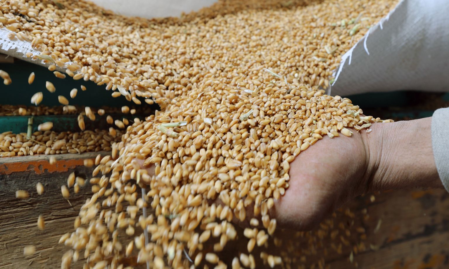 VTB Pangal on edaspidi nisukaubandusega oluliselt vähem pistmist.