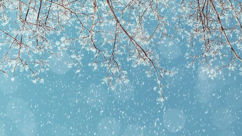 PÄEVAHOROSKOOP ⟩ 13. veebruar: Sõnnil on oluline säilitada rahu, Neitsil on hea aeg vaimseks pingutuseks