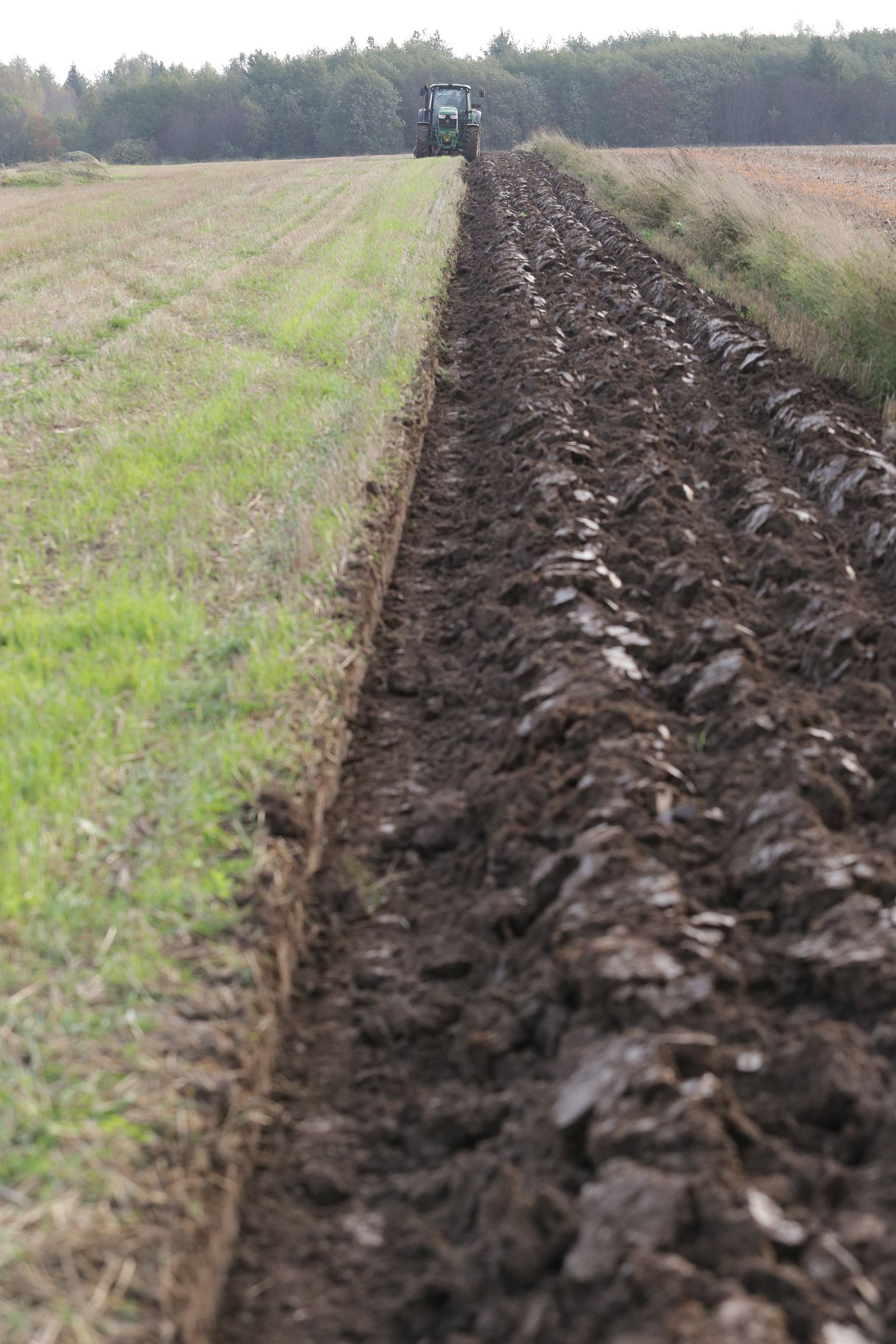 Eestis on enam kui pool kasutusel olevast põllumajandusmaast happeliste muldadega, mille orgaanilise süsiniku varu on aga aluseliste muldadega võrreldes oluliselt madalam.
