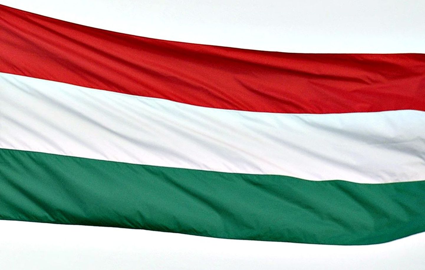 Флаг Венгрии. Иллюстративное фото.