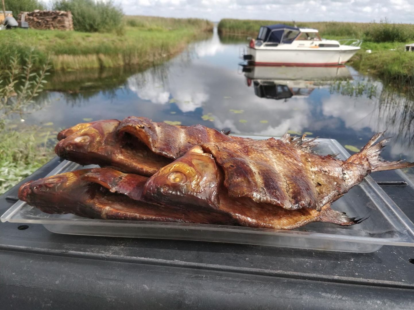 Laevakohvikute päeval on menüüs enamasti järveannid.