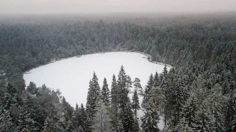 Äntu Valgjärv on talvel kui udune laik keset mustavaid metsi.