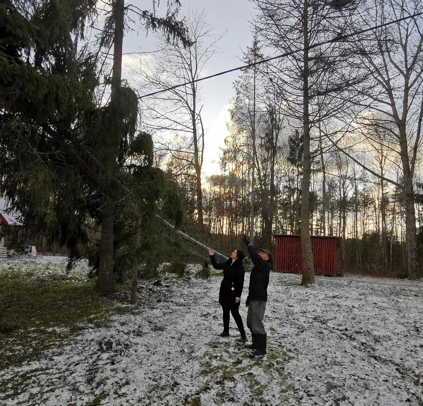 Võrumaalt pärit riigikogulane Anneli Ott tormikahjudega tutvumas. FOTO: Erakogu