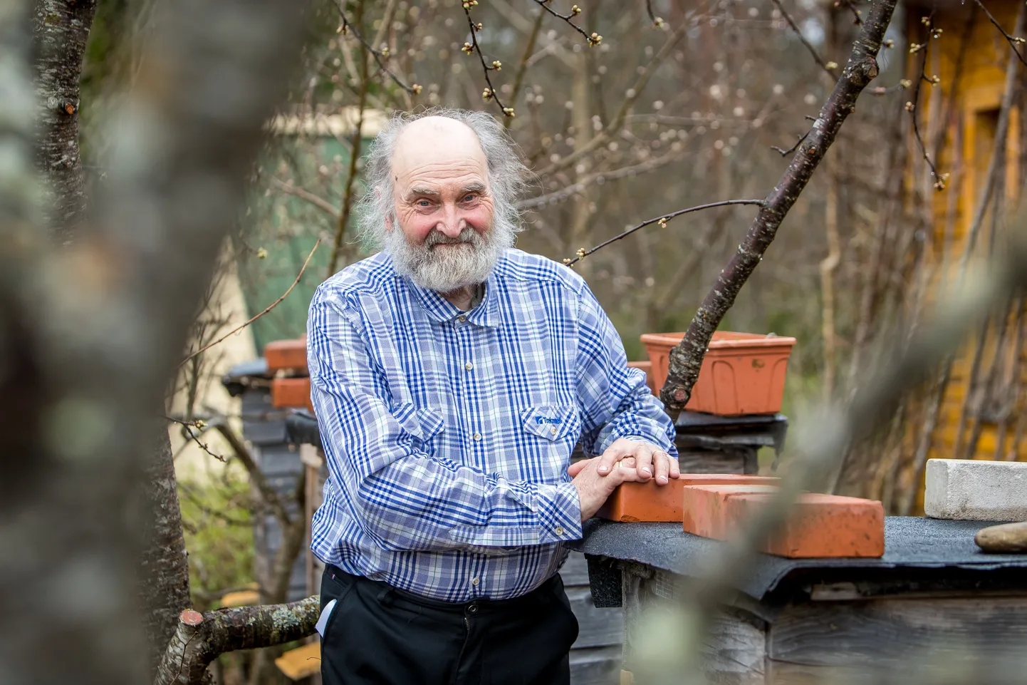 VILJAPUUAIAS: Legendaarne õpetaja Genadi Noa eelistab kirjatööd teha suvel, sest kevadel on tähtis viljapuuaed korda saada.