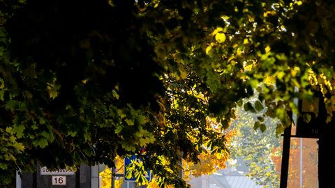 NÄDALA ILMAPROGNOOS ⟩ Rehekuu algab kuivalt