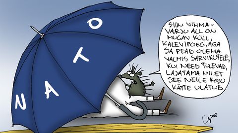 JUHTKIRI ⟩ Parim kaitse on rünnak