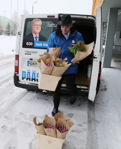Tulpe juba jätkub.