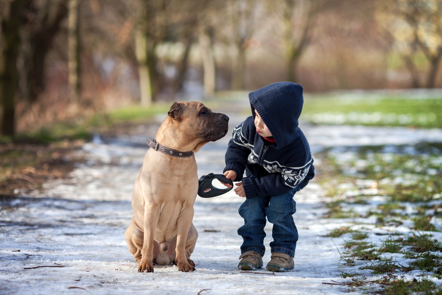 Bērns un suns ziemā. Ilustratīvs foto.