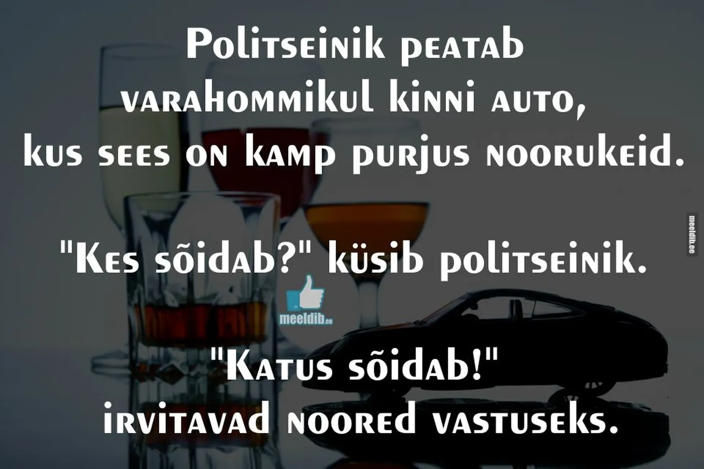 Artikli foto