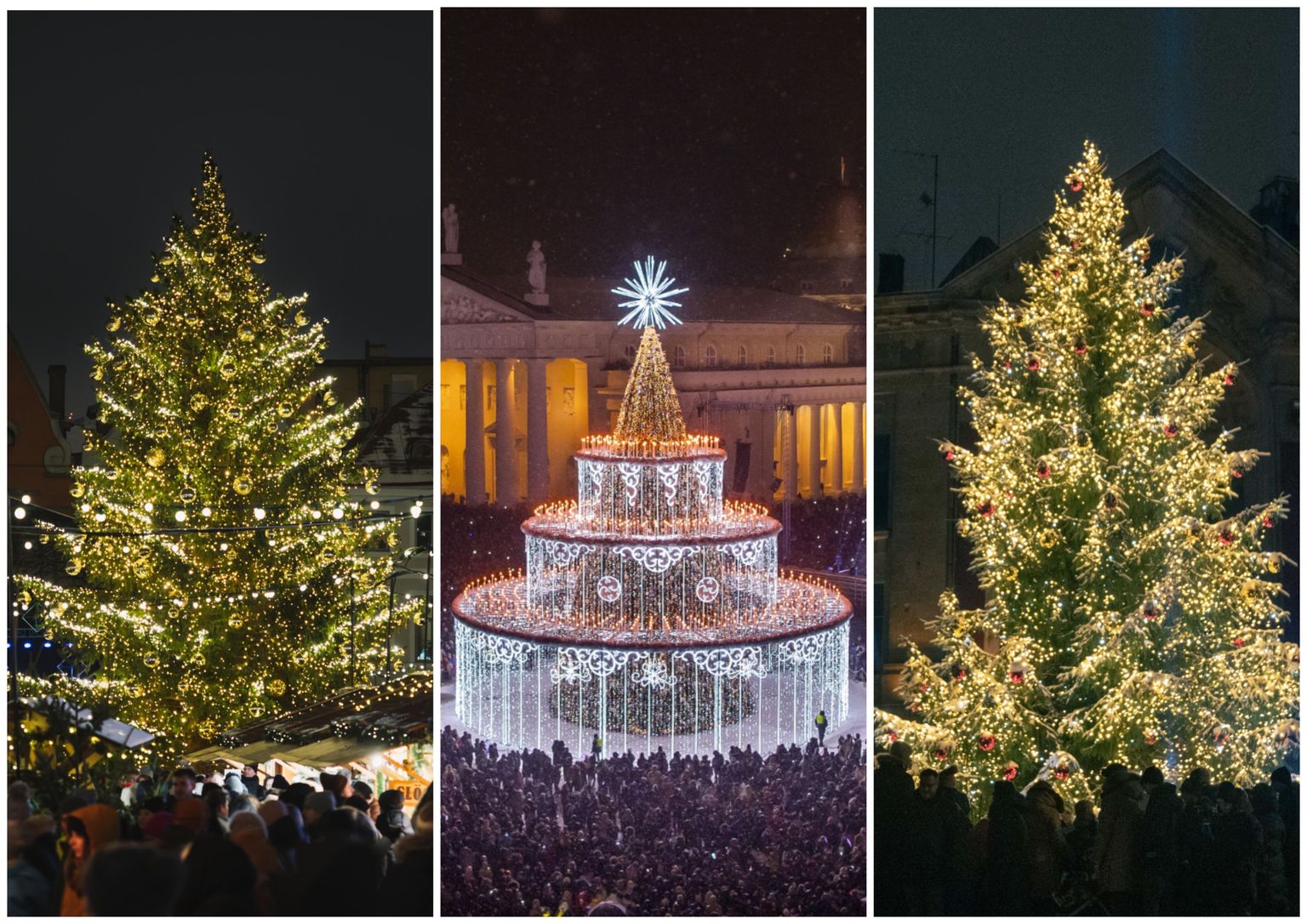 Рождественские елки Таллинна, Вильнюса и Риги