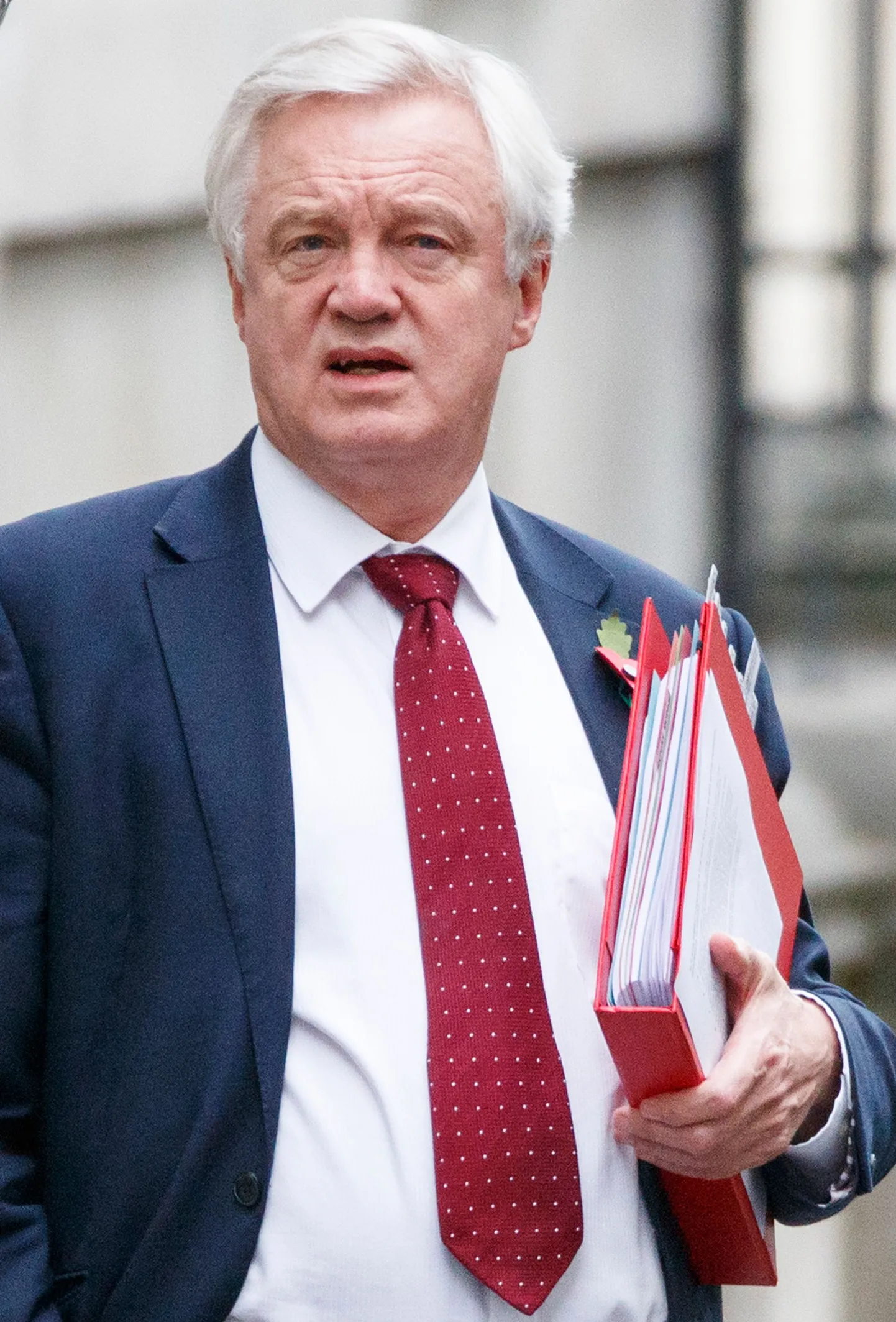 Briti Brexiti minister David Davis teisipäeval Downing Streetil.