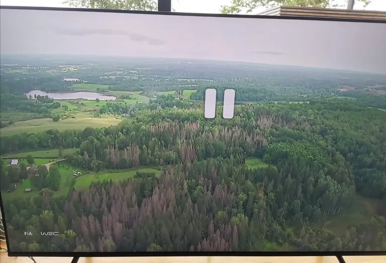 Üraskikahjustused Rally Estonia videopildis.