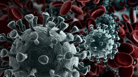 Coronaviridae sugukond peidab endas mitmeid võimalikke inimesele ohtlikke viiruseid. Coronaviridae sugukond peidab endas mitmeid võimalikke inimesele ohtlikke viiruseid.