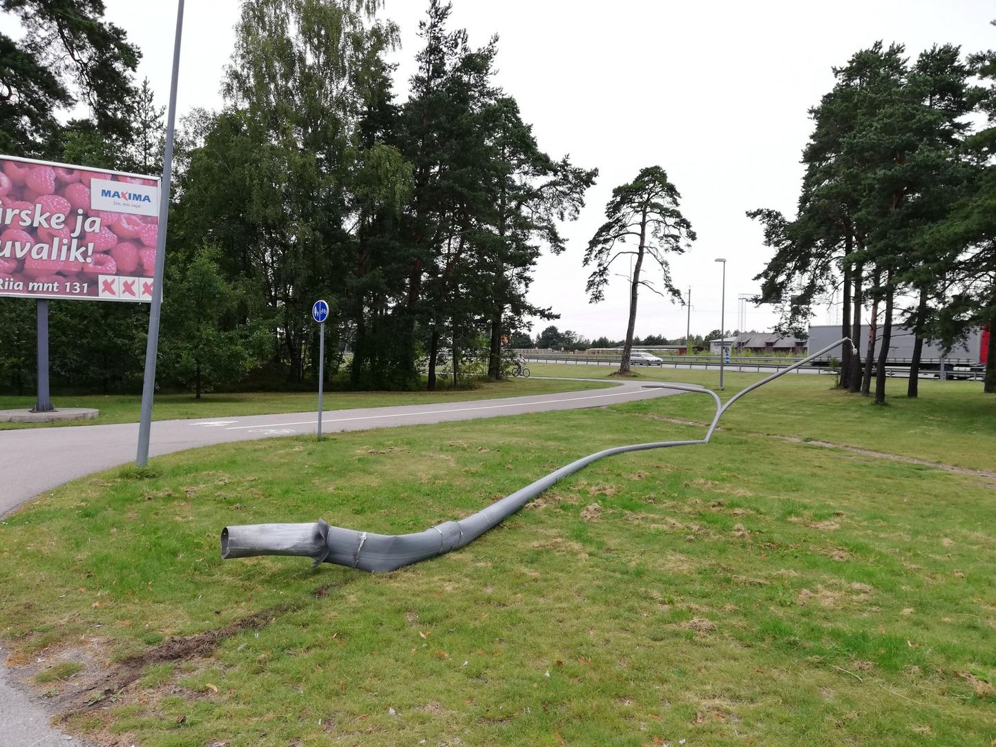 21. augusti öösel Pärnus Riia maanteel tänavavalgustusposti maha sõitnud alkoholijoobes juht sai karistuse.