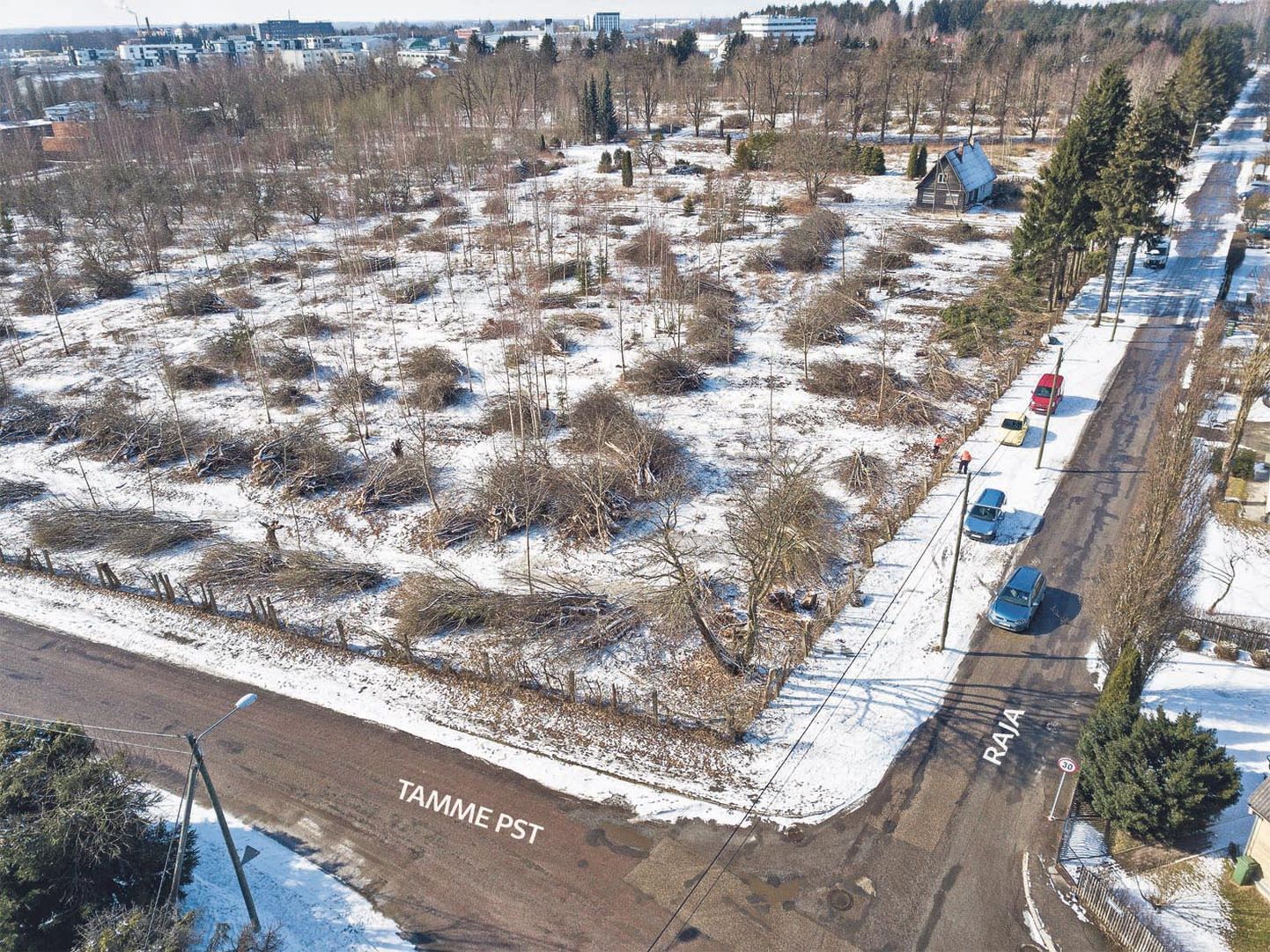 Tamme puiestee (vasakul) ja Raja tänava vahel vanas õunaaias võtavad saemehed maha võsa ja puid. Tulevikus on sel alal üle paarikümne uue eramu.