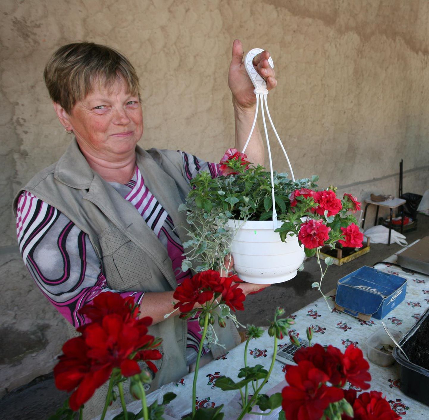 Paide turul lilletaimedega kaupleval Maiel Seinapalu külast pole väljas hindu ei kroonides ega eurodes, sest tema meelest ongi turul hinnad kaubeldavad.
