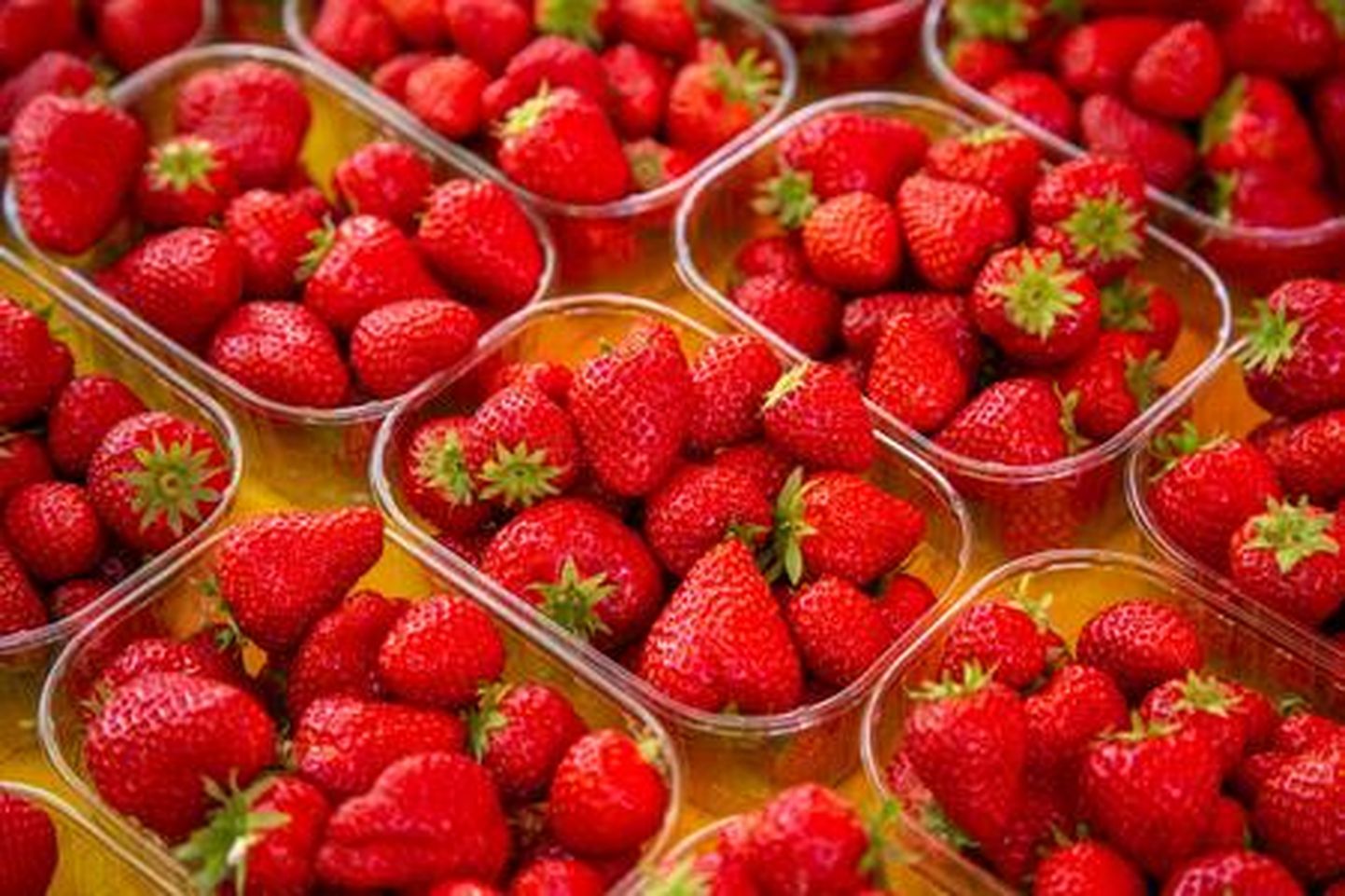 Kodumaist maasikat esindavad Rakvere turul Jõgevamaal valminud marjad.