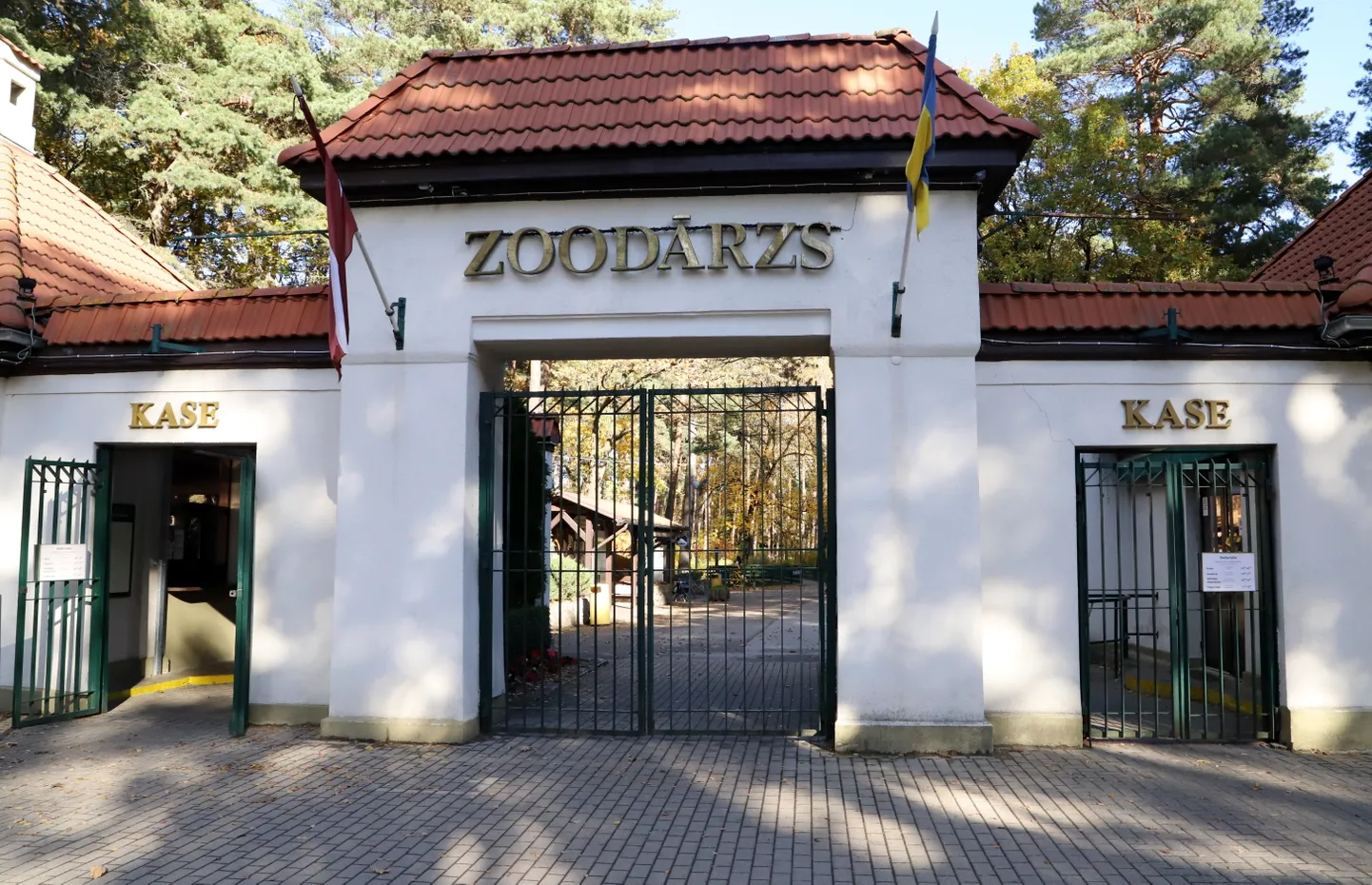 Raksta foto