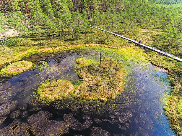 Lõuna-Eesti 10 kaunimat paika