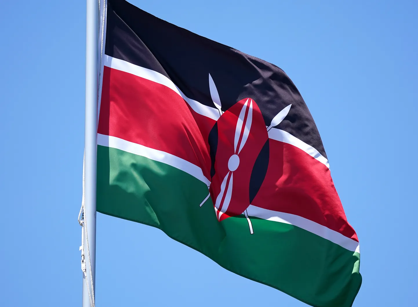 Keenia lipp.