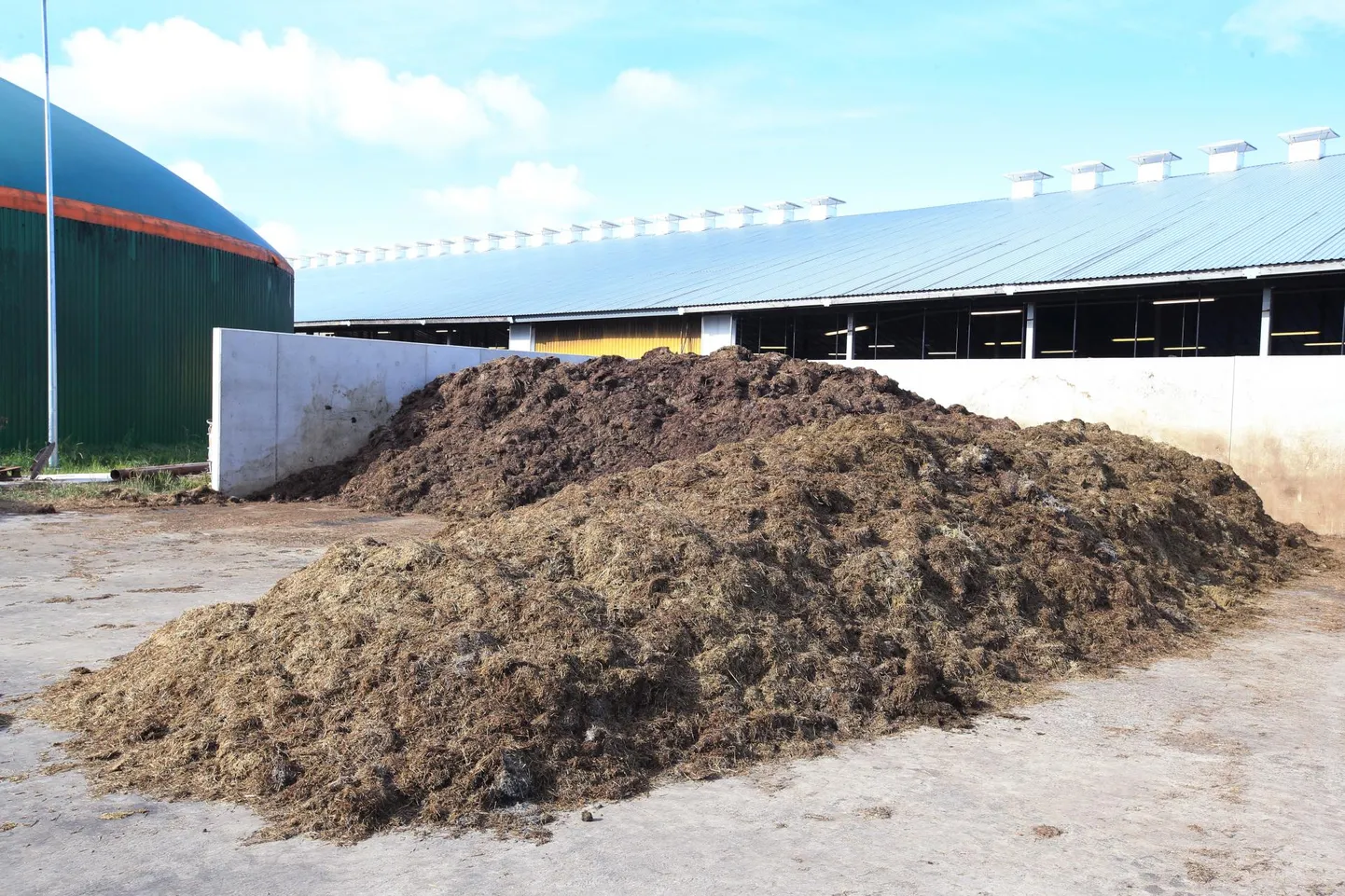 Biomass pudenes teele. Pilt on illustreeriv.