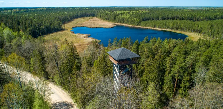 Raksta foto