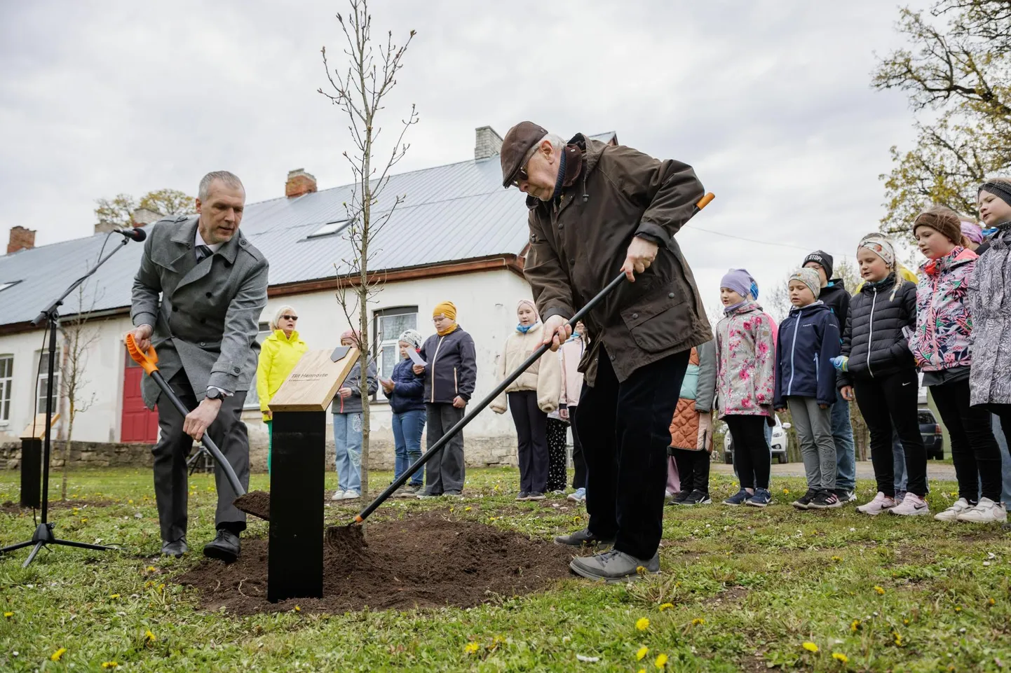 F.J. Wiedemanni keelepäeval Väike-Maarjas istutati keeletammikusse tänavuse Wiedemanni preemia pälvinud Tiit Hennoste nimeline tammepuu.