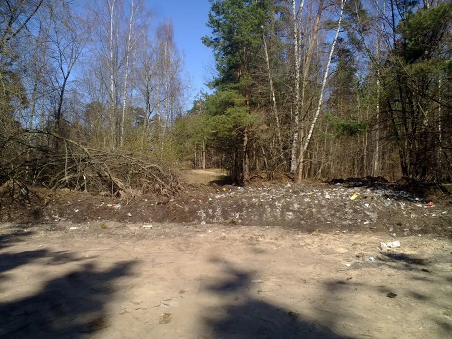 Raksta foto