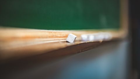 ТЕСТ ⟩ Mēžs или mežs? Проверь свое знание латышского языка! ?