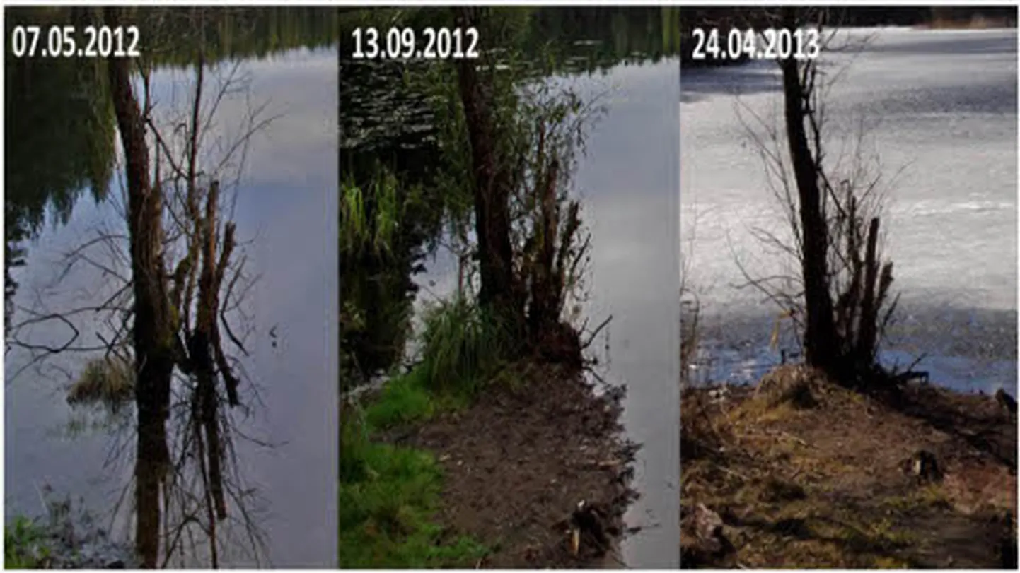 Vähem kui aastaga on Ahnejärv silmanähtavalt kokku tõmbunud.