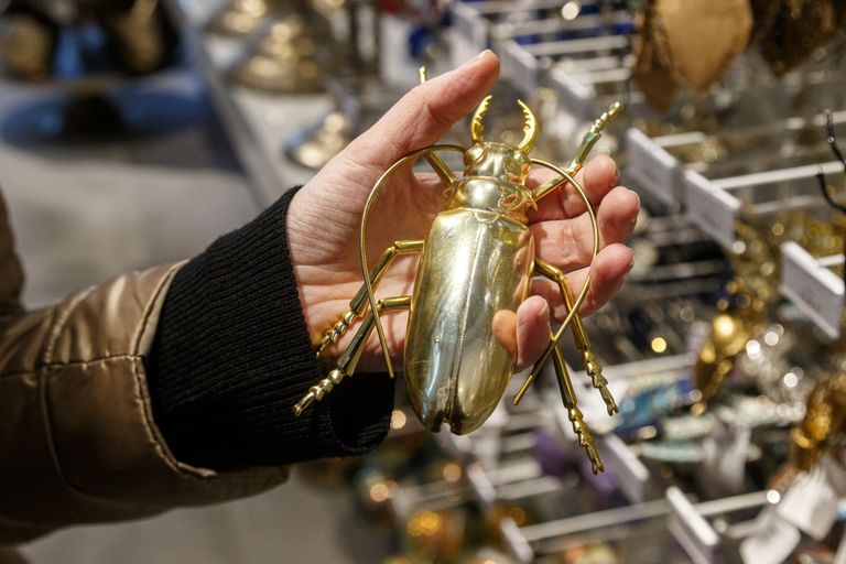 Якобы золотой жук, найденный нами в Shishi, стоит 18,70 евро