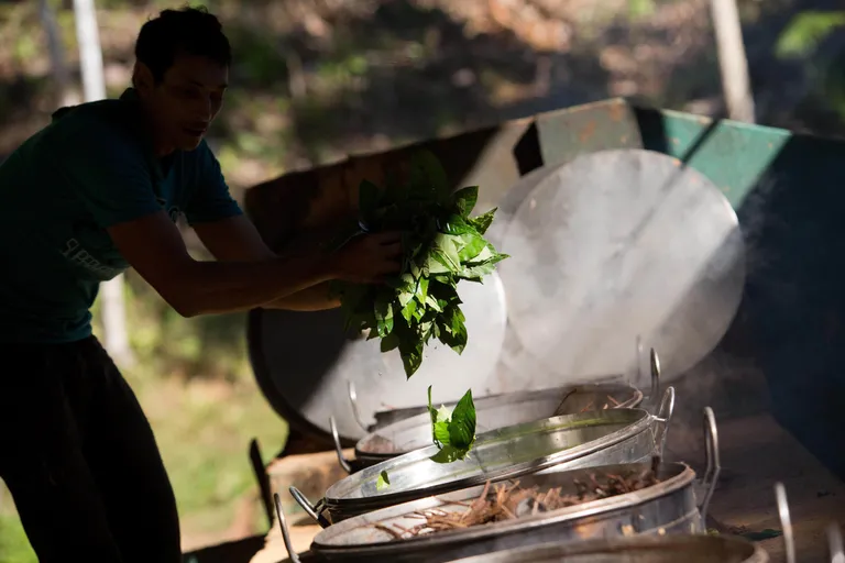 Ayahuasca valmistamine Brasiilias. Foto: Scanpix