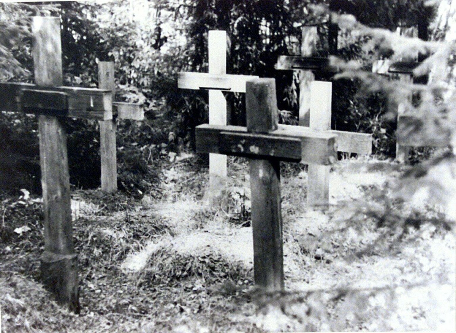 Eestlaste hauad Molotovski kalmistul Kirovi oblastis.