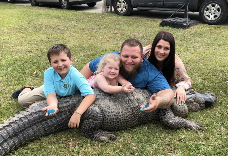 Alligaatorifarmi omanikud üritasid pealtvaatajate ees tõestada, et alligaator on tiine ja ootab isast järeltulijat