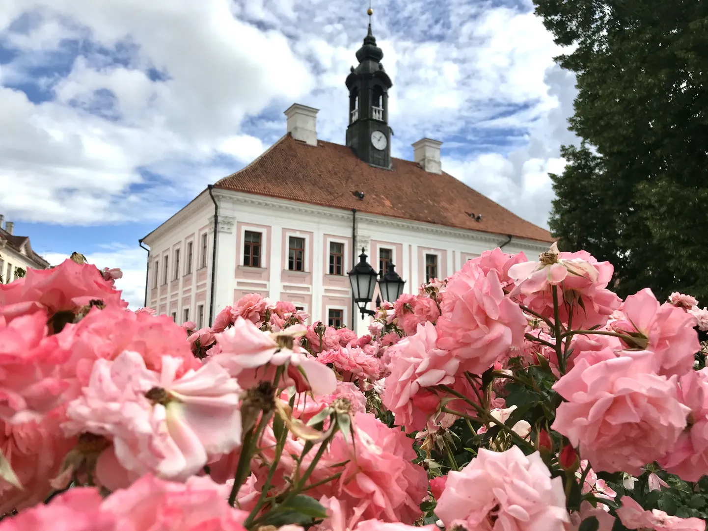 Raksta foto