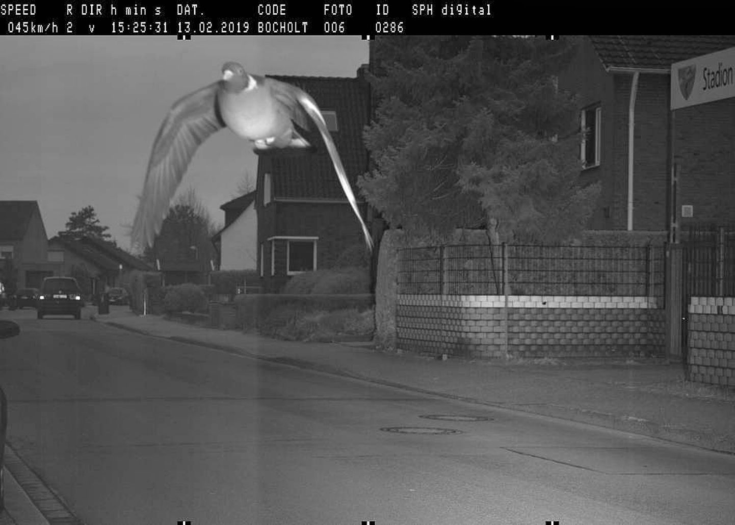 Bocholti väikelinnas Saksamaal jäädvustas kaamera oluliselt kiirust ületanud tuvi.