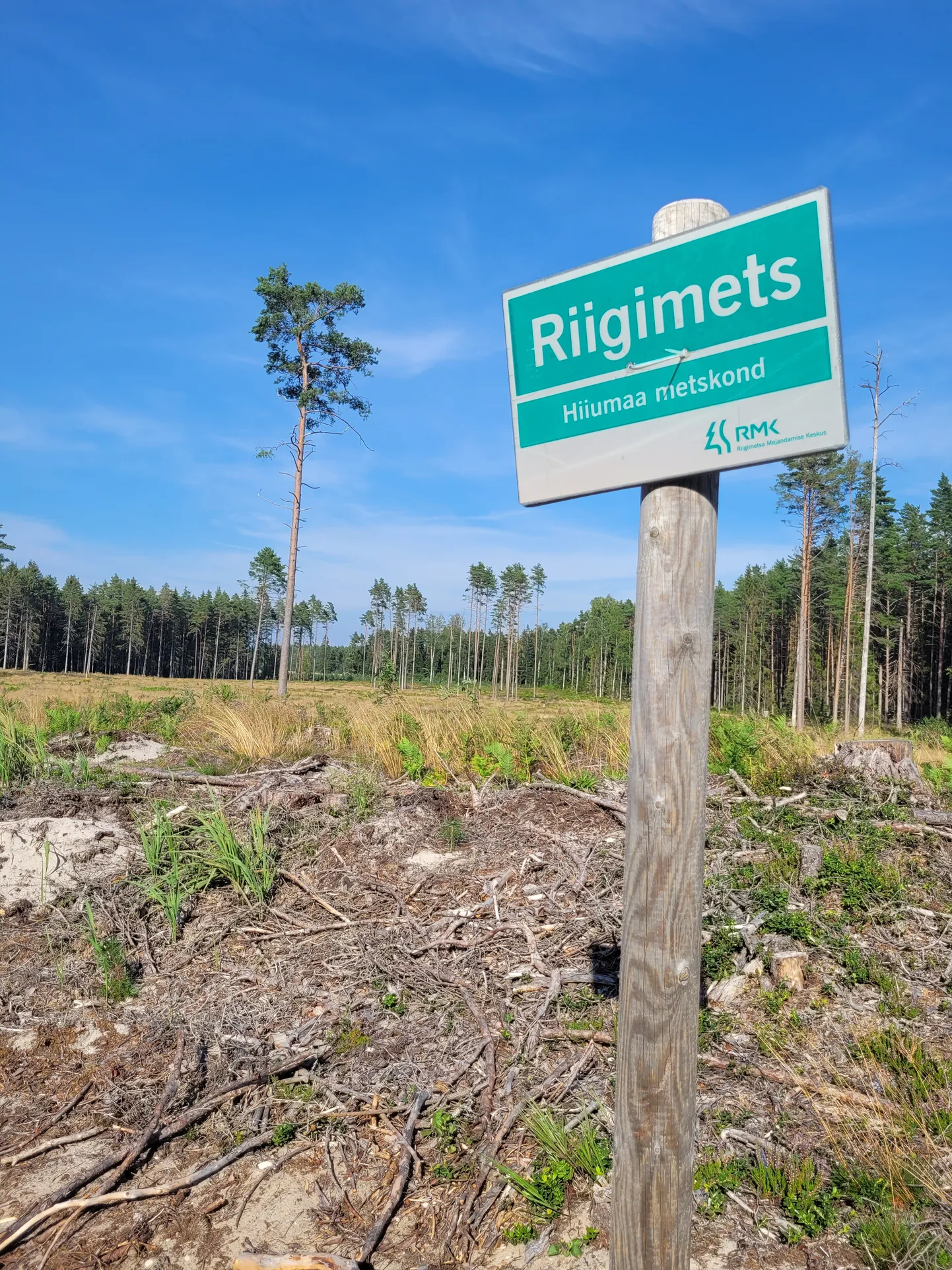 Riigimets Hiiumaal