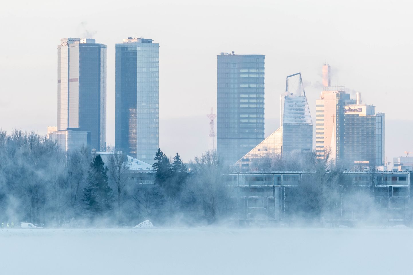 Мороз в Таллинне.